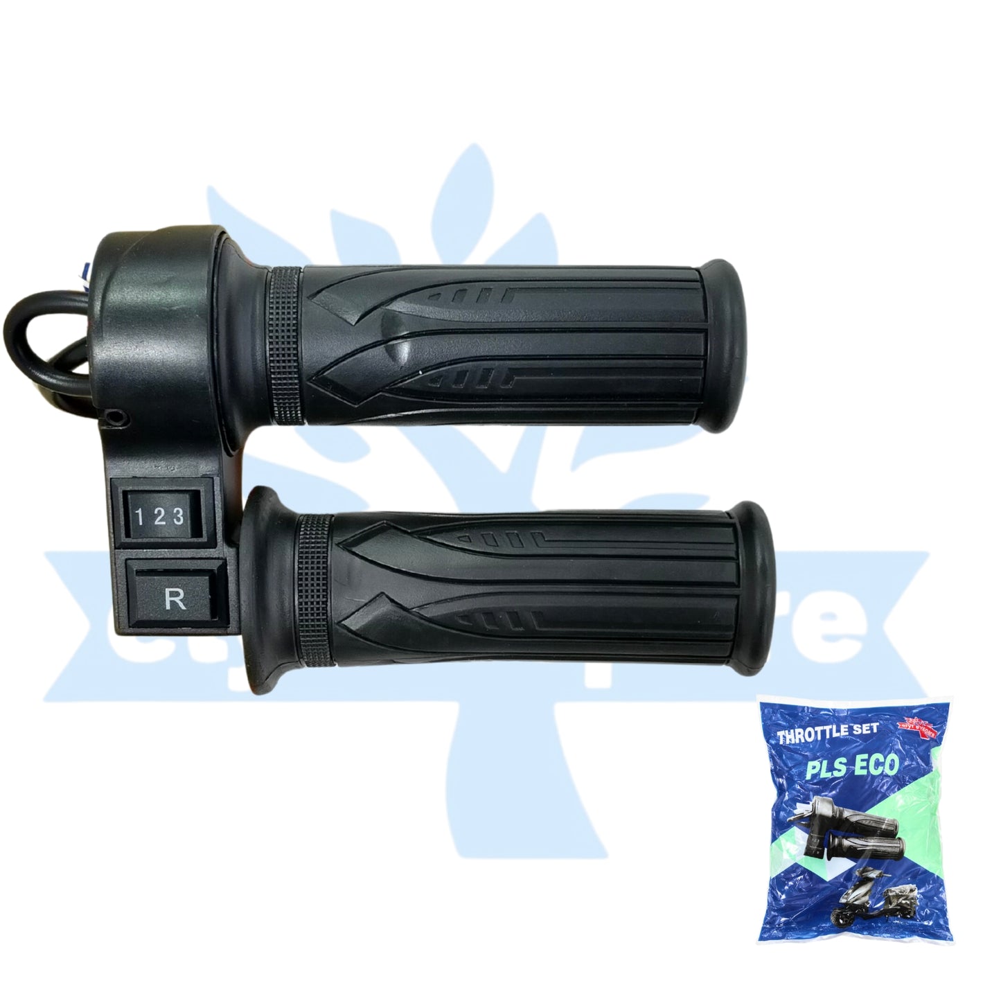 EV Throttle (PLS 123+R) (0b79)